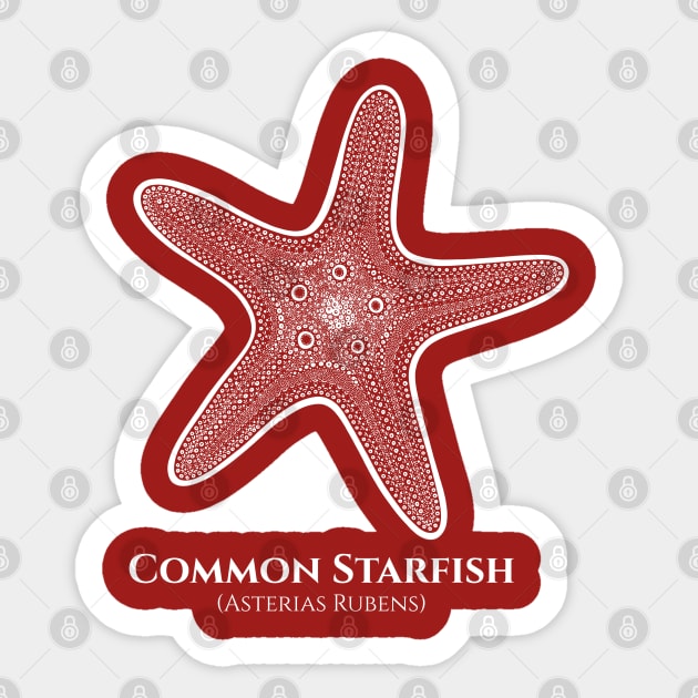 Common Starfish with Common and Scientific Names - beach design Sticker by Green Paladin